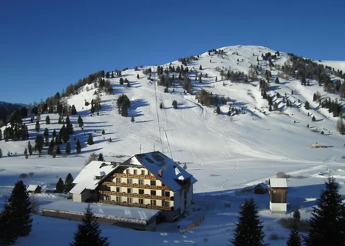 호텔 Familien- Und Jugendgaestehaus Schoenfeld Thomatal